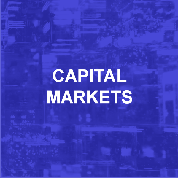 Teravera_Capital_Markets_1.png